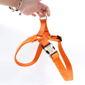 easy on dog harness orange plaid spice