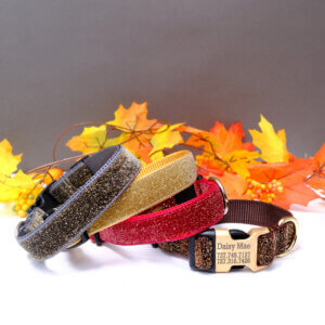 fall glitter dog collars starlight