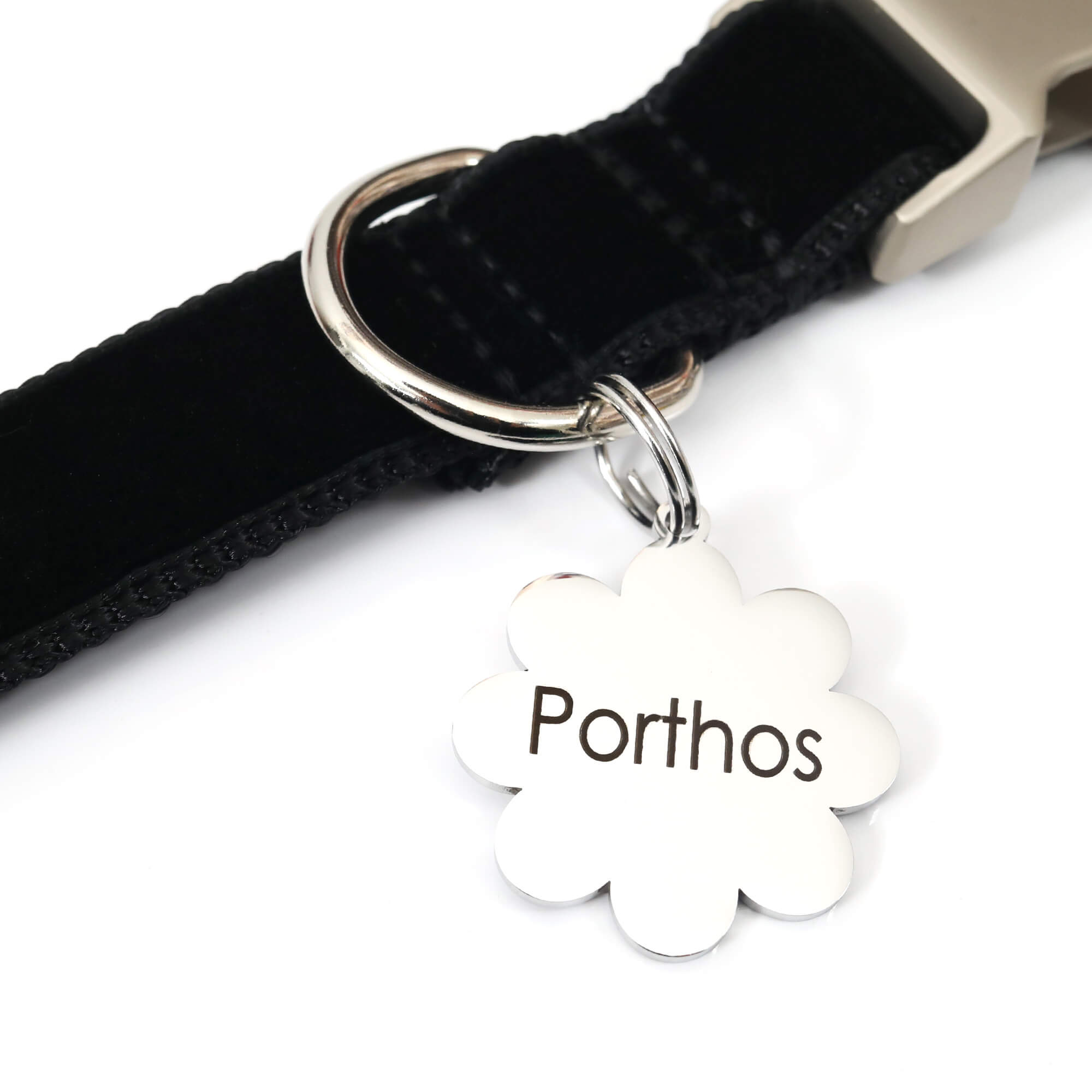 flower id tags silver Porthos on black velvet collar