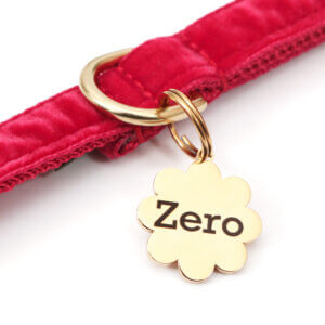 flower id tags red velvet collar gold