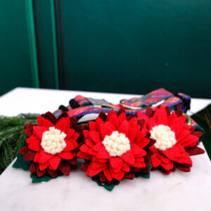 holiday dog collar flower christmas cactus flower