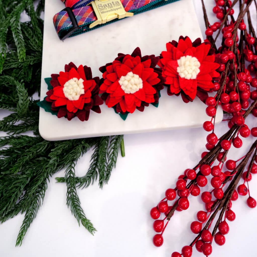 holiday dog collar flower christmas flower