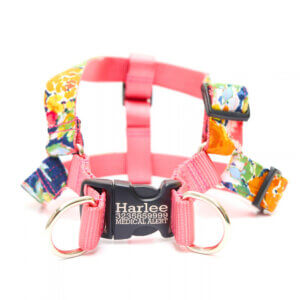 maizie step in harness