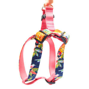 maizie step in harness flannel floral
