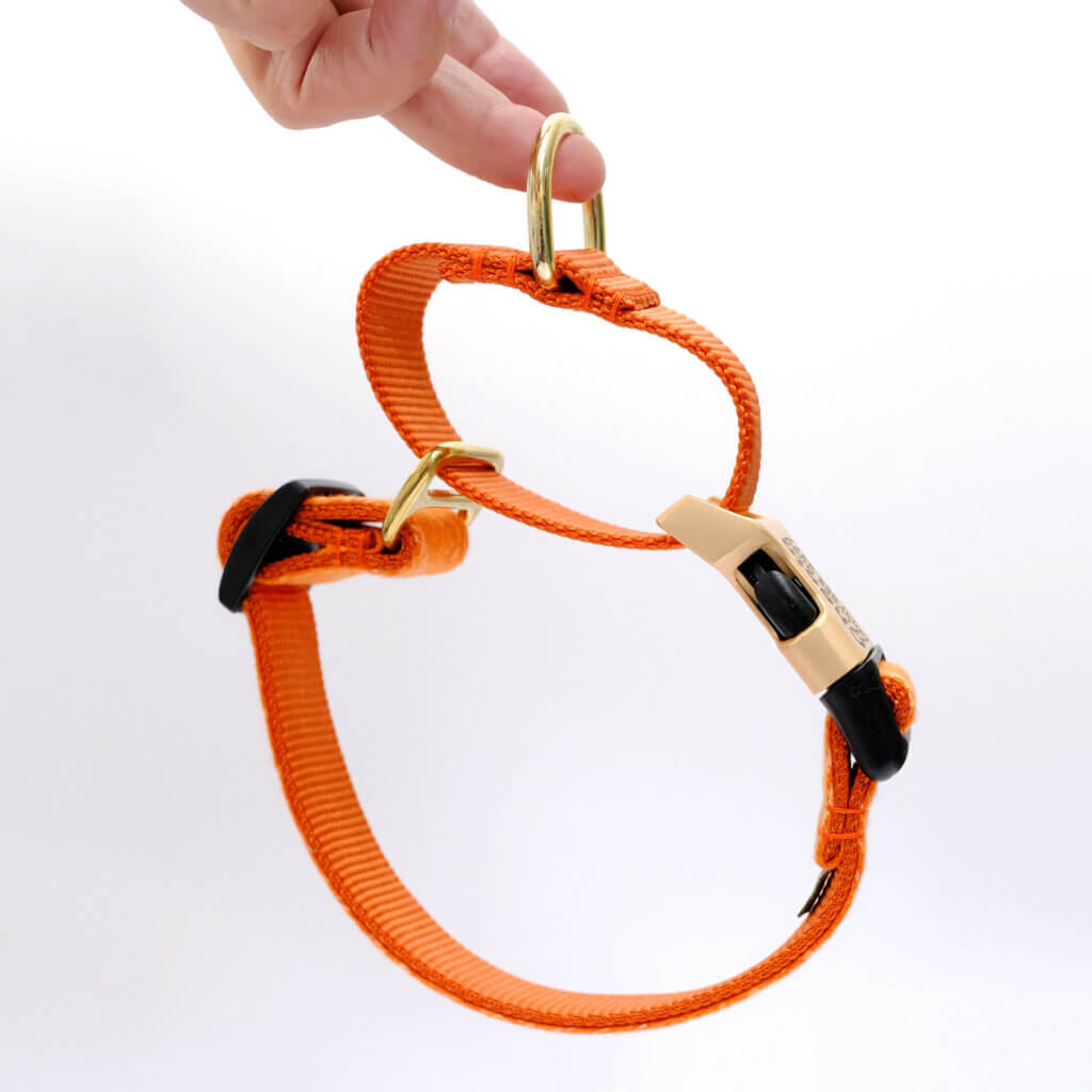 martingale dog collar orange flannel spice