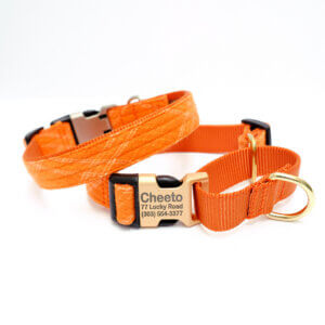 martingale dog collar orange flannel spice plaid