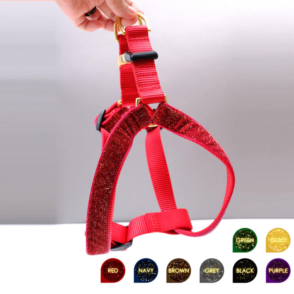 step in glitter harness starlight