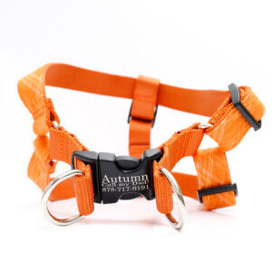 step in harness orange plaid spice flannel engraved