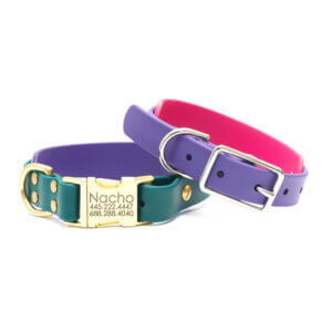 Double Layered Waterproof Dog Collar | 1" & 1.5" - Image 4