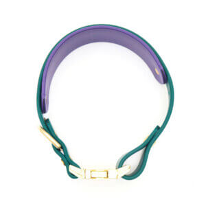 two tone waterproof double layered collars purple forest green