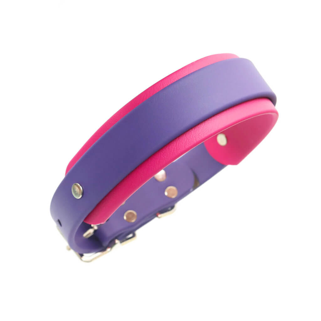 two tone waterproof double layered collars purple raspberry