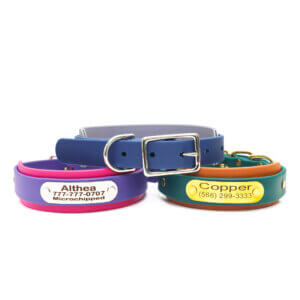 two tone waterproof double layered collars with nameplates belt buckle