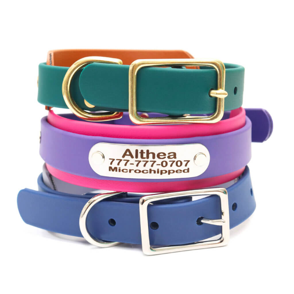 two tone waterproof double layered collars with nameplates
