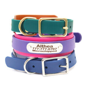 two tone waterproof double layered collars with nameplates