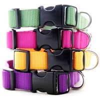Nylon Webbing Dog Collars