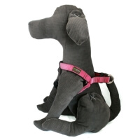 Velvet Designer Dog Harnesses