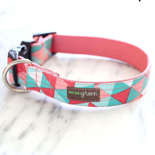 Engraved Buckle Laminated Dog Collar * Special Edition 'Penny'