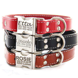 Personalized Engraved Leather Dog Collar