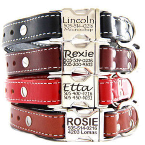 Personalized Engraved Leather Dog Collar