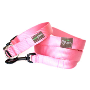 Pink Webbing Collar