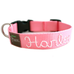 Pink Webbing Collar