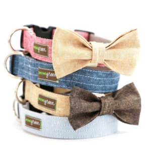 Bow Tie Dog Collar with Laser Etched Plastic Buckle