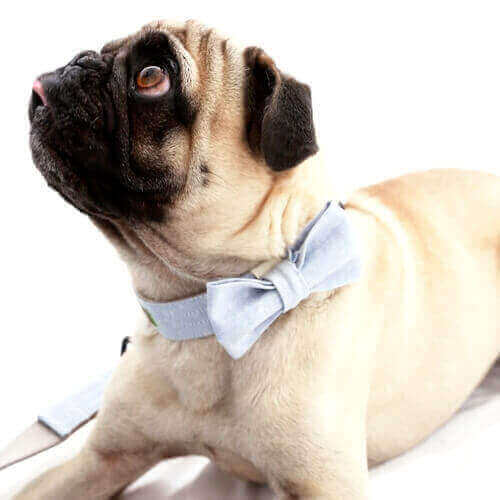 Collar Bow Tie Accessory -- 6 Linen Colors