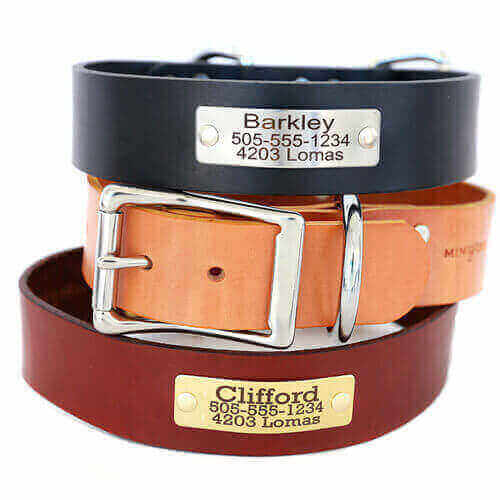 1.5" Wide Personalized Leather Dog Collar w Engraved Nameplate