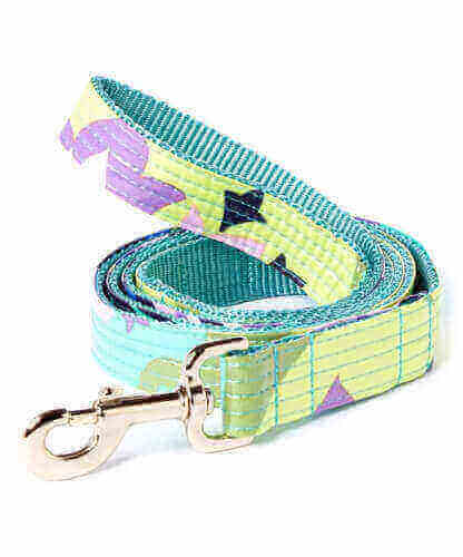 DESIGNER PUPPY COLLAR & LEASH SET