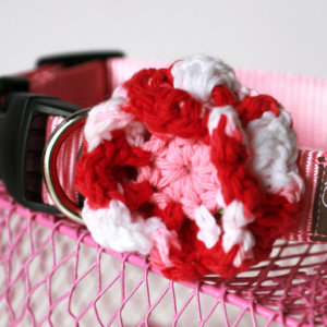 Be Mine Dog Collar Flower
