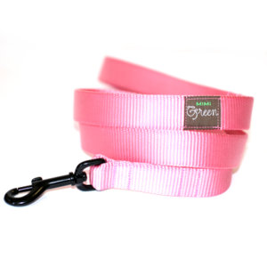 Valentine Flower and Collar