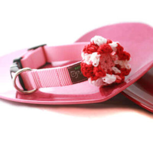 Valentine Flower and Collar