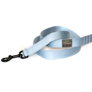 Dolphin Blue Webbing Leash