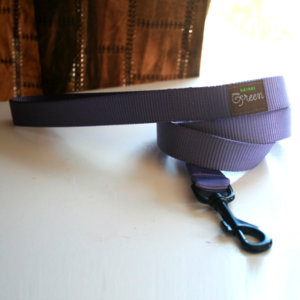 Grape Webbing Leash