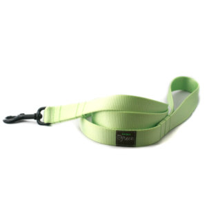 Lime Webbing Leash