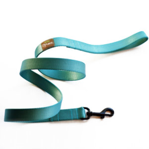 Teal Webbing Leash