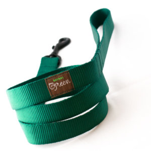 Forrest Green Webbing Leash