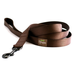 Choco Webbing Leash