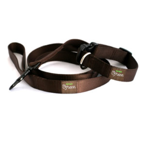 Choco Webbing Leash