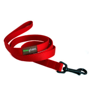 Fire Hydrant Red Webbing Leash