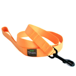 Sunshine Webbing Leash