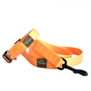 Sunshine Webbing Leash