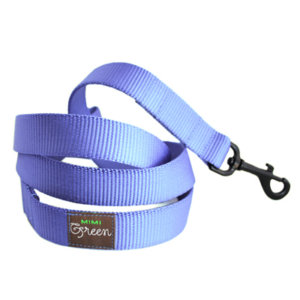 Sky Blue Webbing Leash