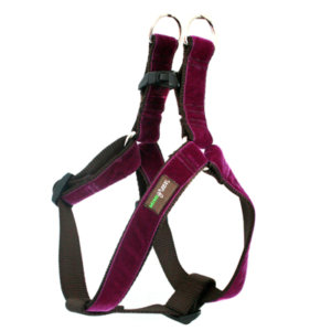 'Olive' Velvet Dog Harness