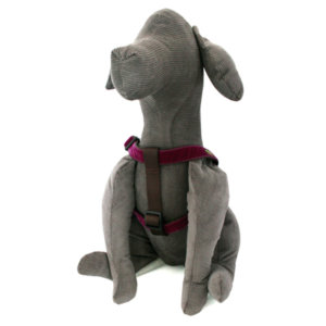 'Olive' Velvet Dog Harness