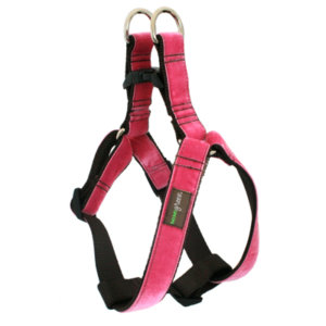 'Zoe' Velvet Dog Harness