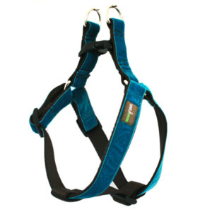 'Zack' Velvet Dog Harness