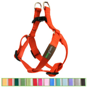 Nylon Webbing Dog Harness -- You choose color