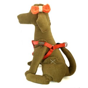 Nylon Webbing Dog Harness -- You choose color