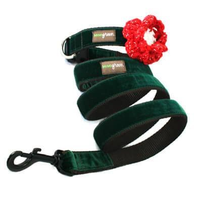 'Evergreen' Velvet Dog Collar